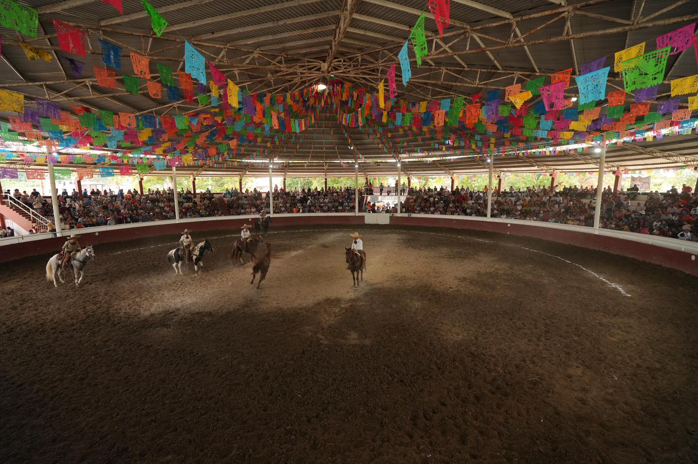 Edición 2025 – Foto 2